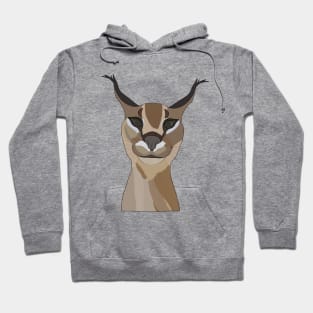 Zabloing Cat Meme Hoodie